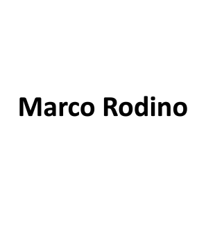 Marco Rodino Agency